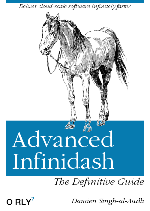 Infinidash Book Cover
