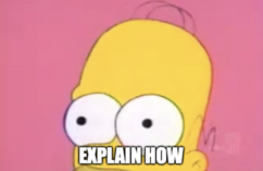 The Simpsons Homer Explain how